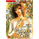 NR-149 / Sugar Cube  / Risawo Endoh /현대지능개발