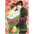 NR-294 / 사랑에 취한 방과 후  / Choko Kabutomaru /현대지능개발