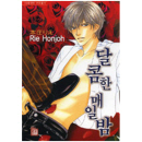 NR-419 / 달콤한 매일 밤   / Rie Honjyo /현대지능개발